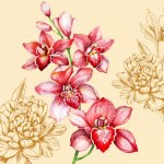 Салфетки Орхидеи 33х33 3-х слойные